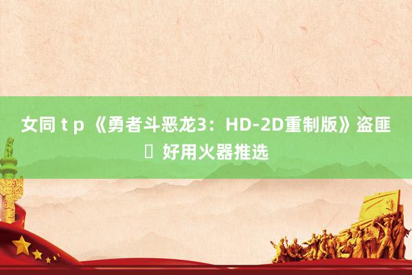女同 t p 《勇者斗恶龙3：HD-2D重制版》盗匪‌好用火器推选
