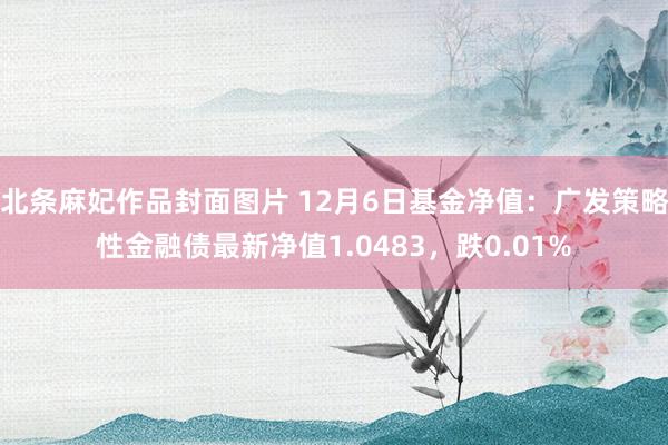 北条麻妃作品封面图片 12月6日基金净值：广发策略性金融债最新净值1.0483，跌0.01%