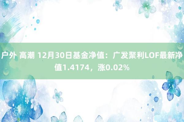 户外 高潮 12月30日基金净值：广发聚利LOF最新净值1.4174，涨0.02%