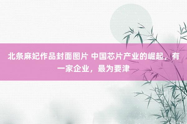 北条麻妃作品封面图片 中国芯片产业的崛起，有一家企业，最为要津